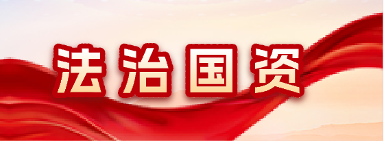 法治国资